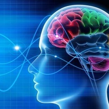 La relaxation agit sur l'activité cérébrale de notre cerveau